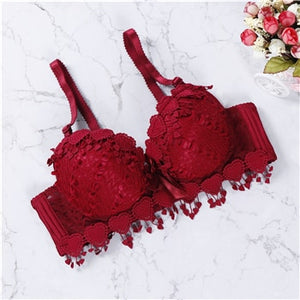 2018 women underwear push up bra lace bra brand embroidery tassel sexy lingerie brassiere